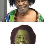 James Brown Mugshot