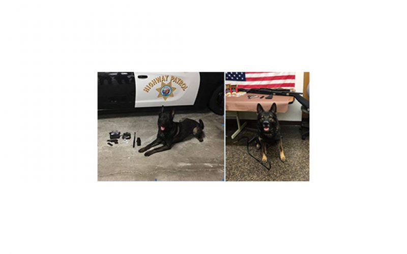 Here are K9 Django and K9 Kai’s recent arrests