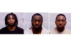 Arrest of 5 linked to October 19 marijuana robbery