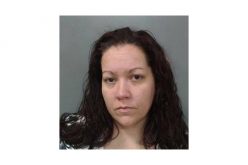 Woman Arrested is Suspected of Committing Multiple Crimes