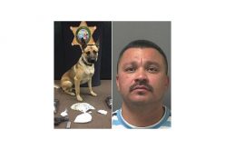 K-9 discovers drugs man tried to hide