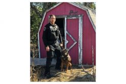 Stolen-Vehicle Suspect Ran, But Could Not Hide From K-9 Ozzy
