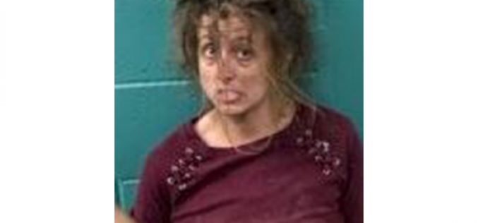 Transient sets fire in Redding, assaults officers