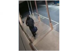 Pine Grove Stage Stop robber on the loose