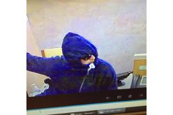 Two suspects sought in bank robbery