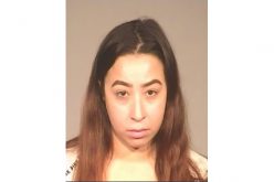 Driver Involved In Hit and Run Turns Herself In the Next Day
