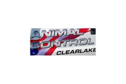 Animal Cruelty Charges for Mistreatment of 3 Horses, 10 Dogs