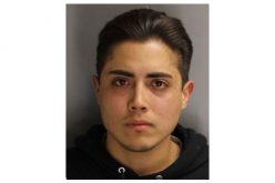 Dog urinates on yard and car, neighbor shoots it dead