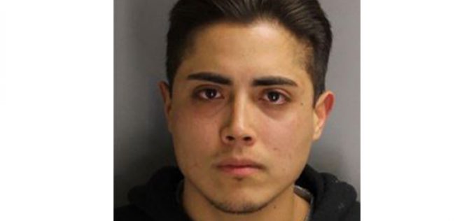 Dog urinates on yard and car, neighbor shoots it dead