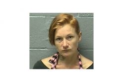 Resident Disrupts Garage Thieves, Apprehends One