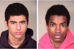 Young Burglars Busted After Ditching Getaway Car