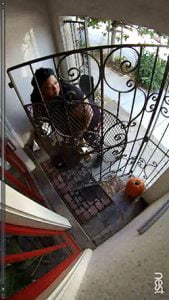 package-thief
