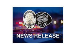 Gregory Jolley is Sole Suspect in Stabbing Death Investigation