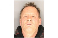 K9 Teams Track Down Domestic Violence Suspect