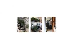 One man apprehended inside marijuana grow house