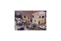 Woman tours LA in stolen car, gets arrested