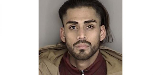 Brief Prunedale crime spree ends with arrest