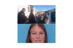 ‘Fictitious Check Activity’ Lands Lady in Jail