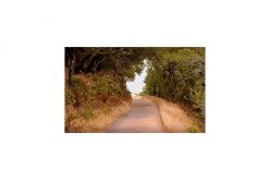 Deputies Arrest Elderly Bicyclist Accused of Attacking a Hiker