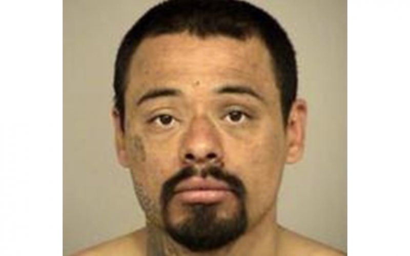 Car Thief Runs Out of Gas