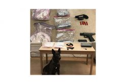 K-9 Ricco Helps Sniff out Heroin and Guns