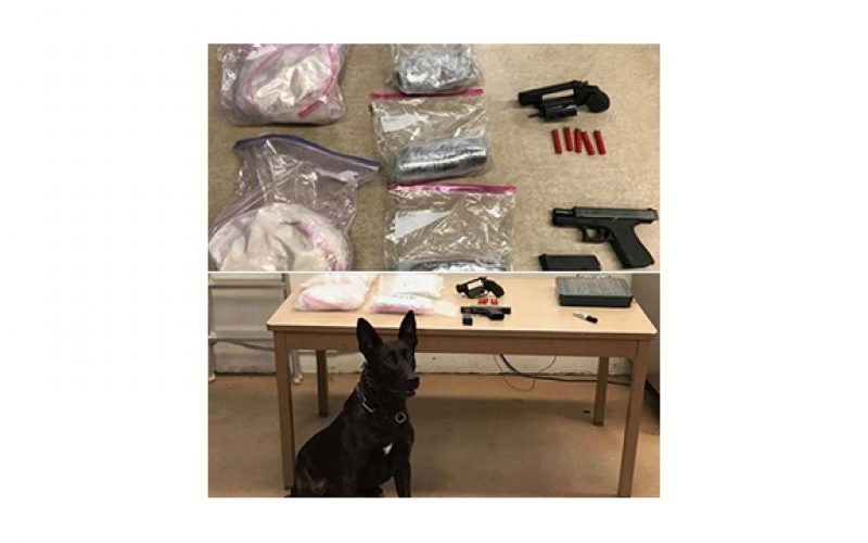 K-9 Ricco Helps Sniff out Heroin and Guns