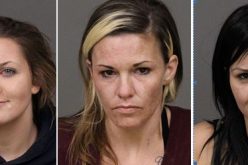 One Search Warrant = Five Arrests for Drugs