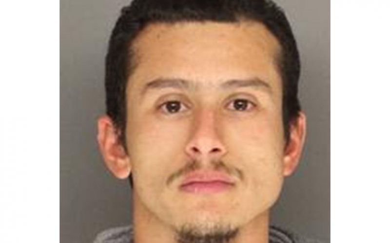 “Magnum” Force Nabs Car Thief