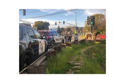 Santa Cruz Police Department Makes 2 Bizarre Arrests