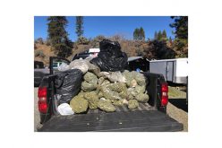 Investigation leads to illegal marijuana grow and production site