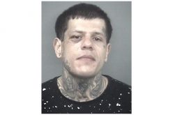 Serial Stabber Arrested