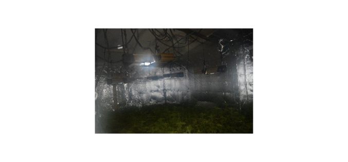 Illegal Marijuana Cultivation Site Discovered in Mountain Ranch Home