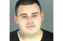 Parolee arrested after trying to run, tossing stolen gun