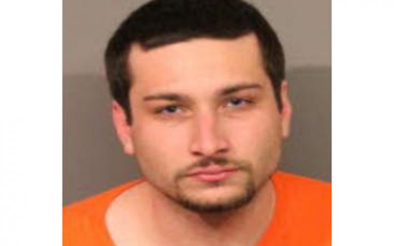 Parolee unsuccessfully attempts to flee in his vehicle