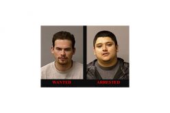 One of two attempted murderers arrested