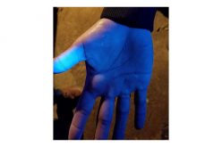 Three Burglars Bluehandedly Fall for the Bait