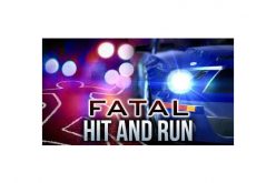 SJPD has arrested three juvenile hit-and-run suspects