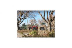 Three 19-year-old gang members, hanging out at the park, drinking