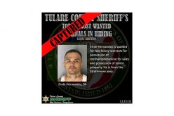 Tulare County Captures another Top 10 Most Wanted