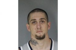 Warrant produces Guns, ammunition, drugs, stolen property