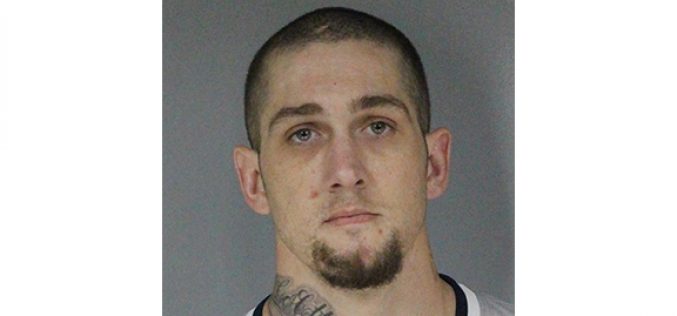 Warrant produces Guns, ammunition, drugs, stolen property