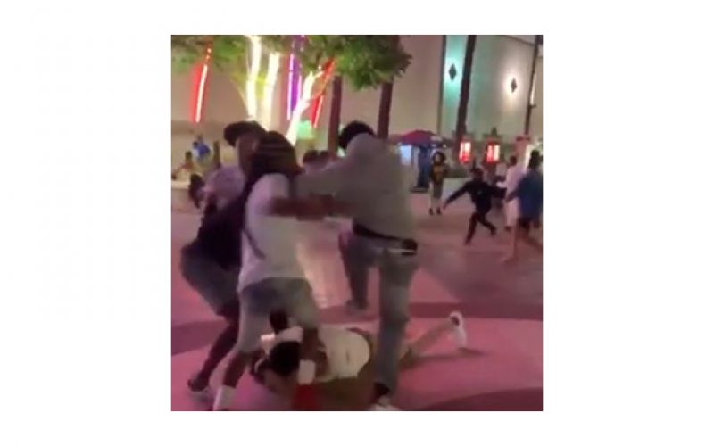 Two Arrested in River Park Brawl