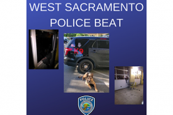 Man tries to burglarize auto store, K-9 Diesel and cops stop him