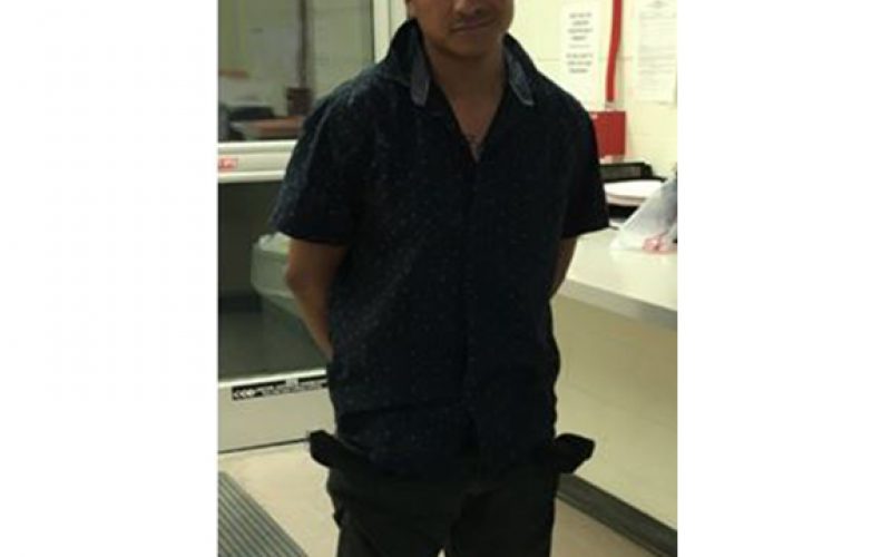 Man Beats Family Dog To Death