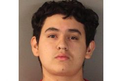 Young pair try their hand at car prowling