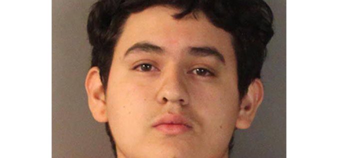 Young pair try their hand at car prowling