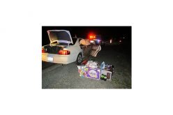 Pair tries to steal over $2,000 in merchandise from Walmart