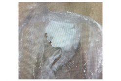 Convicted felon tries to tell officer he cannot search vehicle