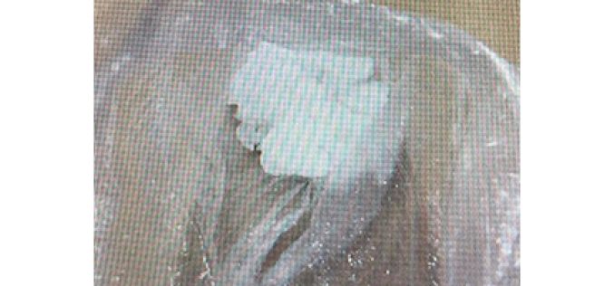 Convicted felon tries to tell officer he cannot search vehicle