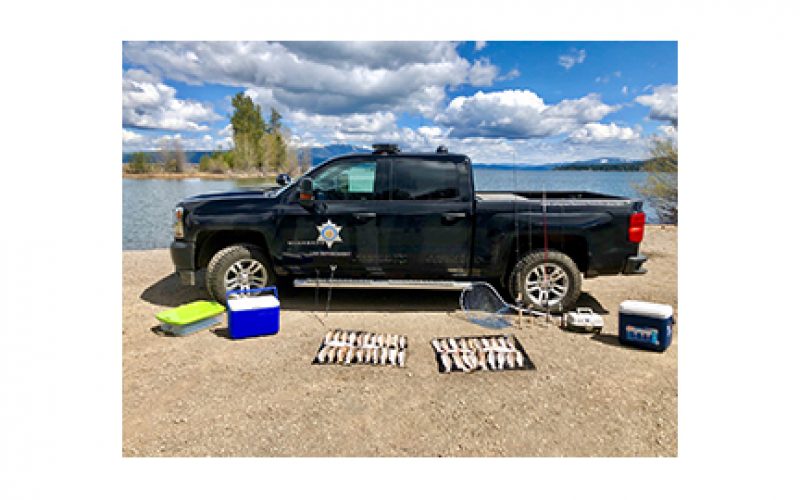 Fleeing Angler Caught with 51 Trout Above Legal Limit